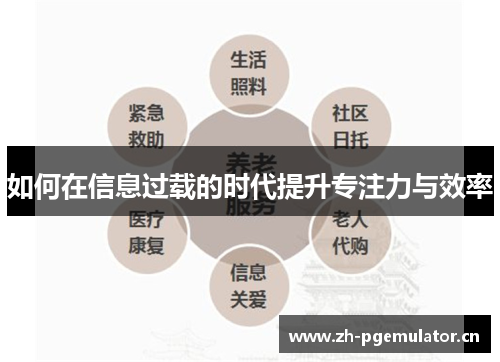 如何在信息过载的时代提升专注力与效率