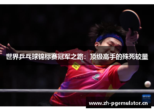 世界乒乓球锦标赛冠军之路：顶级高手的殊死较量