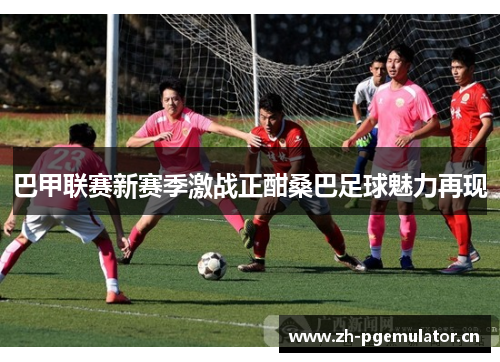 巴甲联赛新赛季激战正酣桑巴足球魅力再现 巴甲联赛新赛季激战正酣桑巴足球魅力再现
